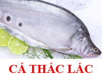 cá thác lác rút xương cá thác lác rút xương